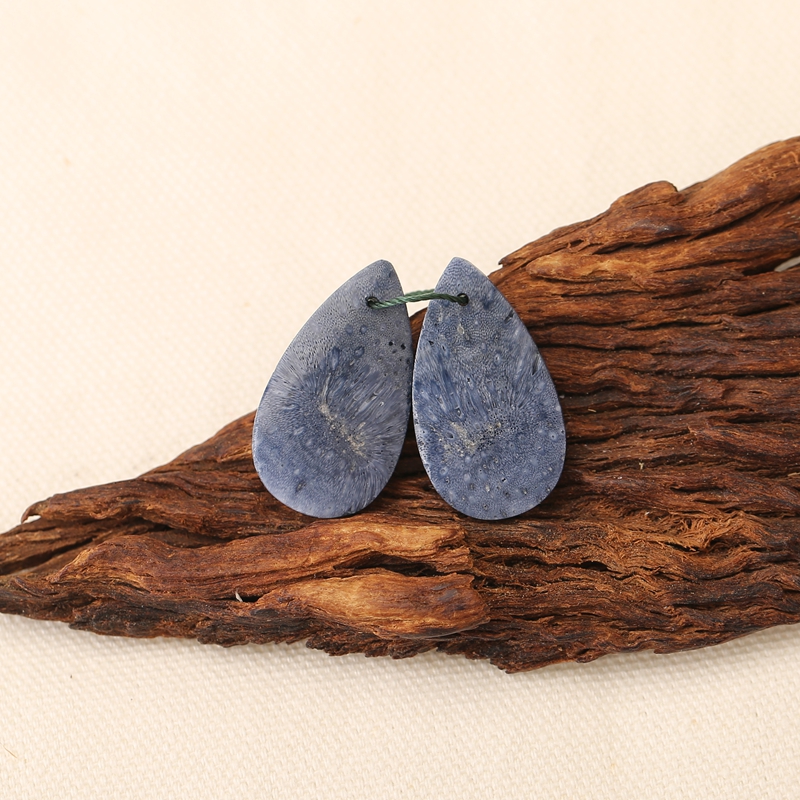Natural Blue Coral Earring Bea - Jewelry Making Drill reseña y precio