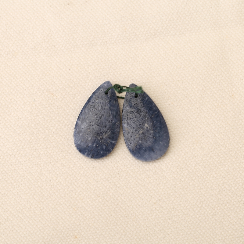 Natural Blue Coral Earring Bea - Jewelry Making Drill reseña y precio